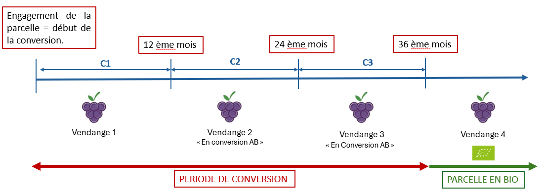 vdf-réglementation-vin-bio-image-1