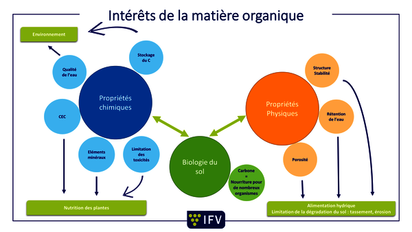 vie-amendements-organiques-interets-mo