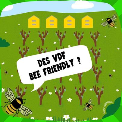 Les VDF Bee Friendly ?