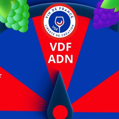 VDF - ADN VDF - ADN