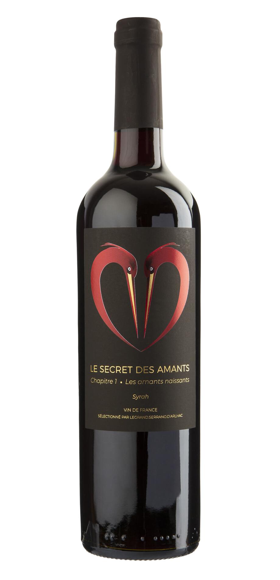 LE SECRET DES AMANTS - CHAPITRE 1 : LES AMOURS NAISSANTS